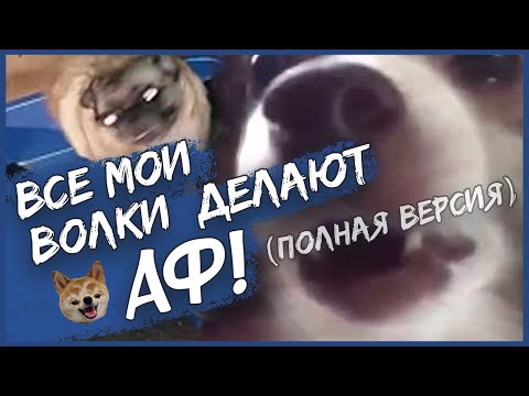 SQWOZ BAB feat. Пёсель - Все мои волки делают АФ ☝🏻 (Romkeee Full Remix) 😎