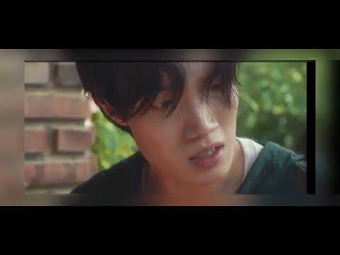 비디오 15