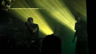 The Twang - Got No Interest  |  Swansea - Sin City