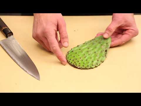 Watch CJ Jacobson Make Cactus Ice