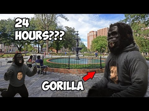 I BECAME A GORILLA FOR A DAY???