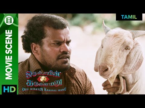 The Goat Killers | Oru Kidayin Karunai Manu | Movie Scene | Vidharth, Raveena