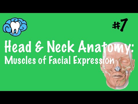 Head & Neck Anatomy | Muscles of Facial Expression | INBDE