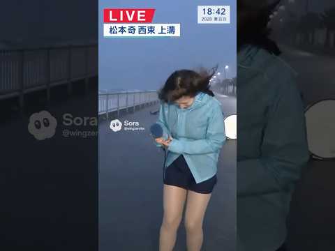 ミニスカ女子アナの中継中に台風でバケツが顔面直撃