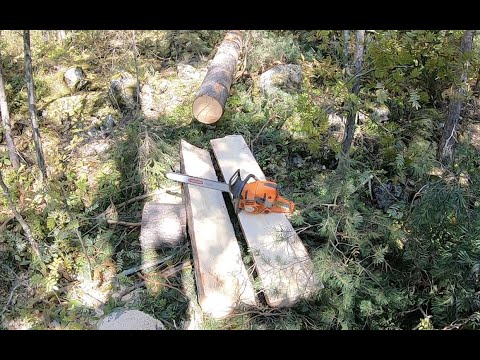 Halki, poikki ja kuistille...🪵 Keskihalkaisua ja konkelon epätoivoista purkamista.