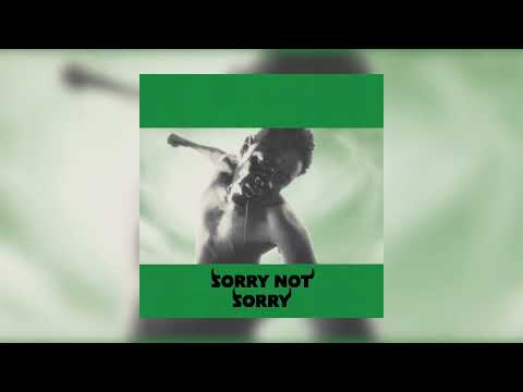 if SORRY NOT SORRY’s instrumentals changed based on who was speaking