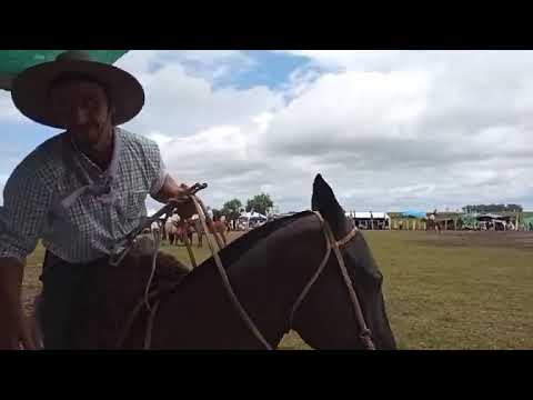 Jineteadas y Pruebas de Riendas - 23° Fiesta del Trabajador Rural, Caraguatá 11/01/2026
