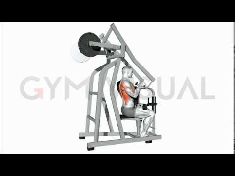 Lever Incline Rear Delt Row (plate loaded)