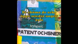Patent Ochsner - Weischwinimeine [Lyrics in video &amp; description]