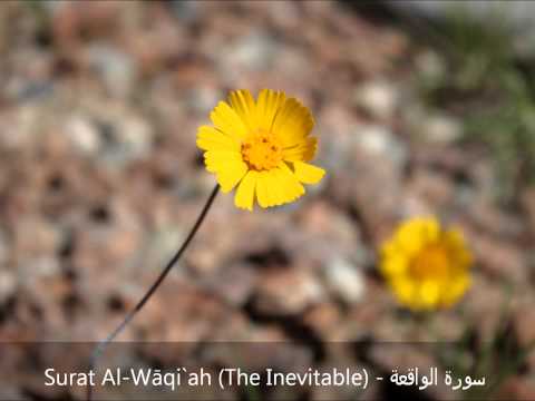 Surat Waqiaa - سورة الواقعة  Ahmed Al Ajmi أحمد بن علي العجمي