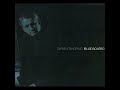 Chris Standring - Blue Bolero