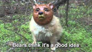 Woodland Creatures say Yes