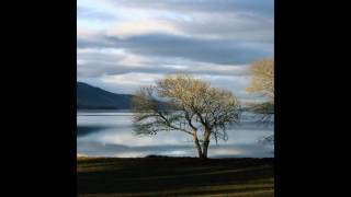 Caribou - Irene (Alessandro Diga Remix)