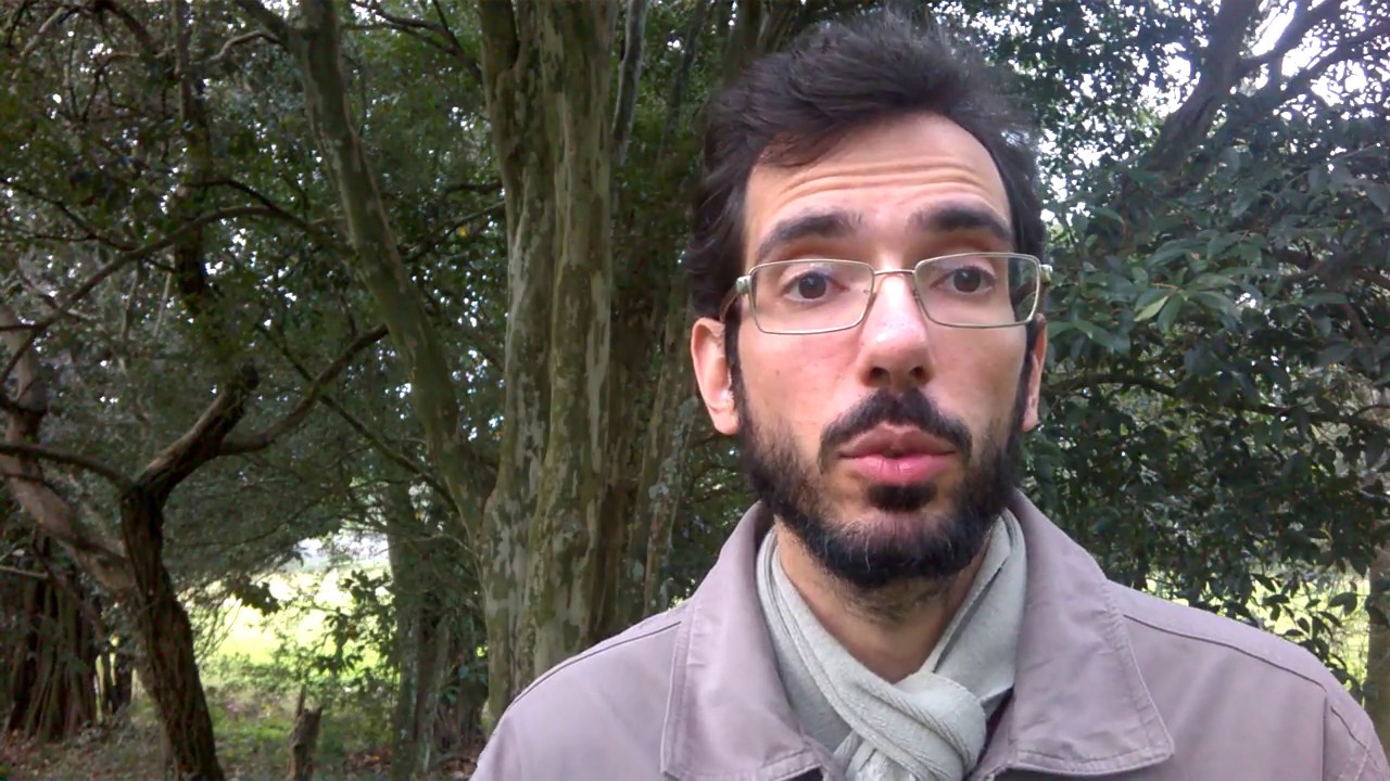 Para conhecer Karl Barth - O que devo ler?