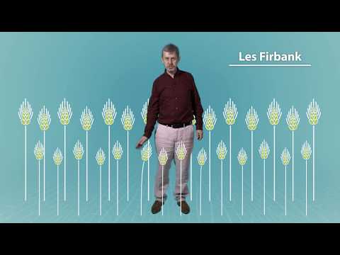 What is gene drives about?