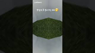 유튜브 썸네일