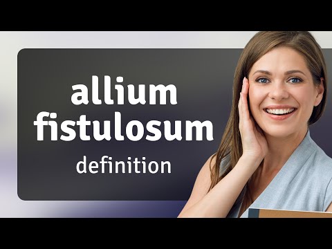 Allium fistulosum • definition of ALLIUM FISTULOSUM