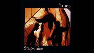 Ya Ho - JAMES  1988 📀 Strip~Mine