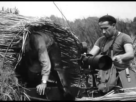 Włodzimierz Puchalski