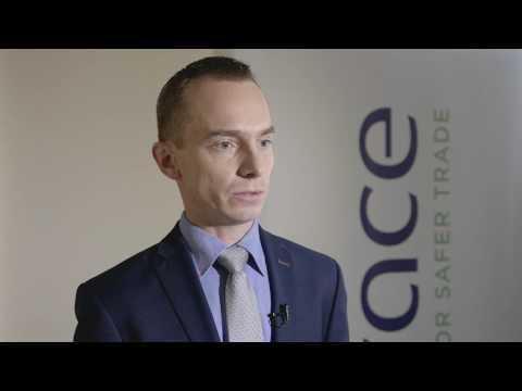 Grzegorz Sielewicz: Brexit ograniczy polski eksport