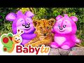 In The Animal World Learn Fun Facts About Lions BabyTV