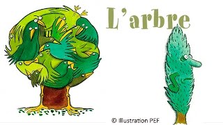 Pierre Chêne - L'arbre - chanson pour enfants