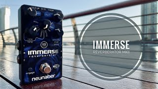 Neunaber Immerse Reverberator Mk II - What To Know & Where Neunaber Immerse Reverberator Mk II - What To Know & Where