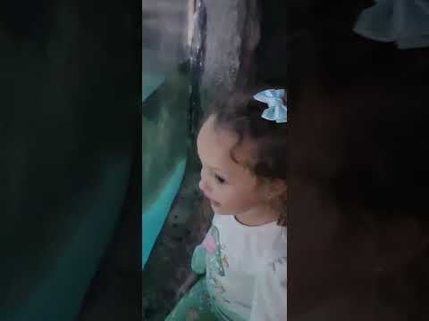 Lavínia no Aquário de São Paulo 🐟