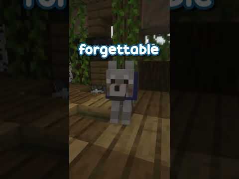 WTF! Crazy Minecraft Mr. Forgettable 😱