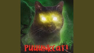 PuuunkCat! Music Video