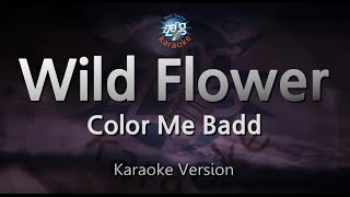 Color Me Badd-Wild Flower (Karaoke Version)