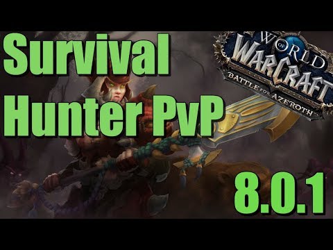 Survival Hunter | BFA | Arena PvP 2v2 |  OP |