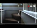 The Fast Forward Surveillance Tape