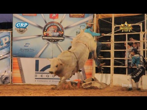Ribeirão do Sul Rodeo 2017 - GRINGA'S MOMENT / FRIDAY