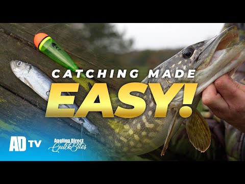 Learn To Catch Pike Using A Simple Float Set Up - Pike Fishing Quickbite