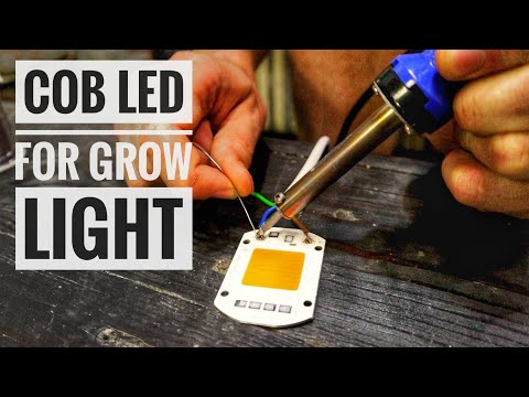 COB LED for DIY Grow Lights - Marijuana SA