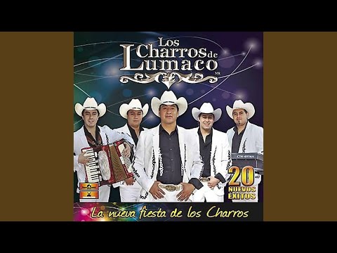 Las Flores de Tu Florero