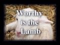Agnus Dei - Third Day - Worship Video with lyrics
