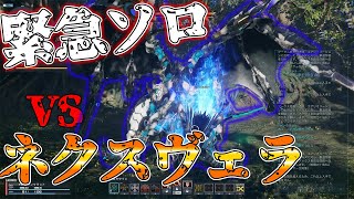 緊急でソロマッチングしたｗｗｗｗ vs "ネクスヴェラ" - PSO2ngs【むめい:実況】