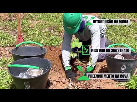 Projeto Floresta dos Ventos no Rio Grande do Norte - 2023 e 2024!