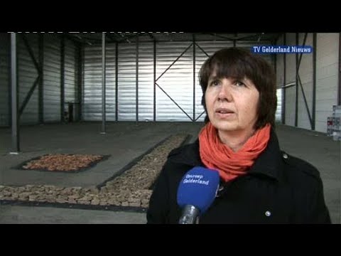 GLD Nieuws 9 maart 2010 - Nieuws