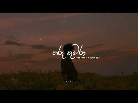 Ananthen a Tharu Kumara | අනන්තෙන් ආ තරු කුමරා ( Slowed + Reverb ) @SaJJaA