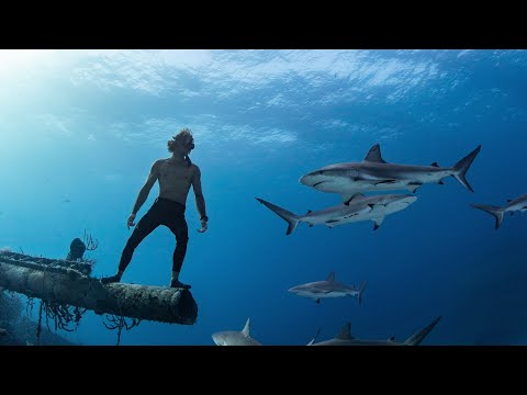 Sharks & Shipwrecks - Freediving The Bahamas (Tiger Sharks, Hammerhead Sharks, Reef Sharks)