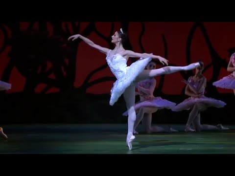Dulcinea Variation (Don Quixote): Zakharova, Osipova, Nunez