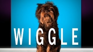 Jason Derulo - &quot;Wiggle&quot; feat. Snoop Dogg (Cute Dog Version)