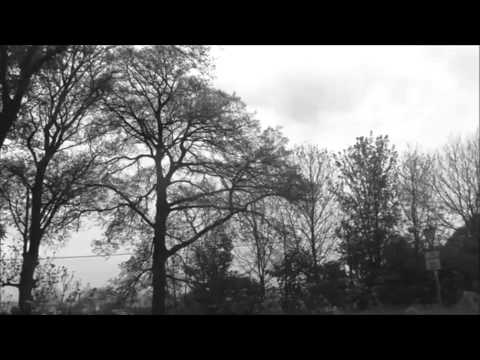 download lagu mp3 mp4 Spring And All William Carlos Williams, download lagu Spring And All William Carlos Williams gratis, unduh video klip Spring And All William Carlos Williams