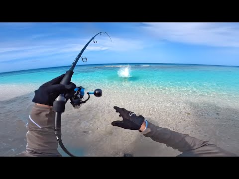 Fishing in Paradise - Tropical Beach Catch and Cook!