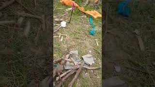 Download lagu jita bhi lakri marta bhi lakri csk tetri naugachia bhagalpur mp3