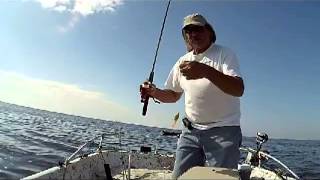 Speckled Trout Limited out 30 mins  or less