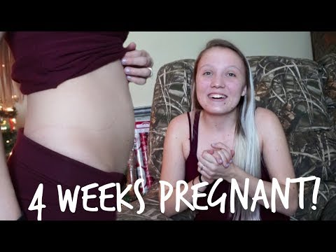 Week 4 Pregnancy Update│I STILL CANNOT BELIEVE IT! Video